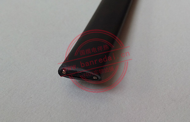 低電壓自限溫電伴熱帶結(jié)構(gòu)