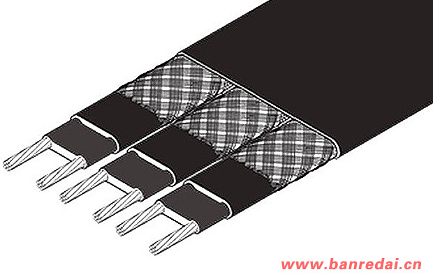 ZH組合型自限溫電伴熱帶結構