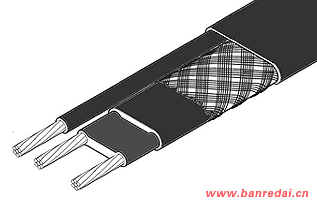 ZC中長型自限溫電伴熱帶結構